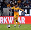 tigres uanl