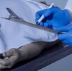 El IJCF aclaró que no son 9 mil cuerpos sin identificar, sino 2 mil 499, al ser segmentos humanos y no cuerpos completos, generando confusión en cifras.