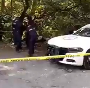 Policías investigan el hallazgo de restos humanos en una zona acordonada.