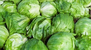 Estados Unidos señaló a la empresa Taylor Farms, ubicada en Guanajuato, por una posible contaminación de Cyclospora, lo cual está siendo investigado.