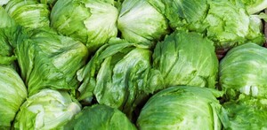 Estados Unidos señaló a la empresa Taylor Farms, ubicada en Guanajuato, por una posible contaminación de Cyclospora, lo cual está siendo investigado.