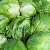 Estados Unidos señaló a la empresa Taylor Farms, ubicada en Guanajuato, por una posible contaminación de Cyclospora, lo cual está siendo investigado.