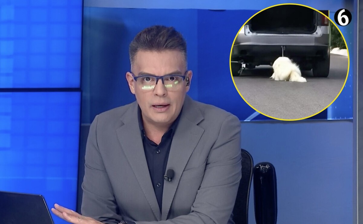 El conductor del Telediario Matutino, Ángel Carrillo, reaccionó al caso de Rocky, un perrito que sufrió un grave caso de maltrato animal en Saltillo.