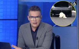 El conductor del Telediario Matutino, Ángel Carrillo, reaccionó al caso de Rocky, un perrito que sufrió un grave caso de maltrato animal en Saltillo.