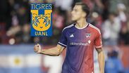 Distintas opciones suenan para llegar a los felinos de la UANL. | Especial