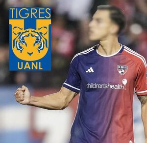 Estas son las opciones para llegar a Tigres.