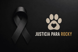 tras cuatro días internado, el perrito Rocky había fallecido luego de las lesiones