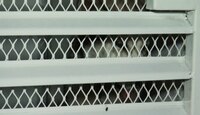 Perro Husky resguardado en una camioneta tras presuntamente haber sido violentado en Tlaquepaque
