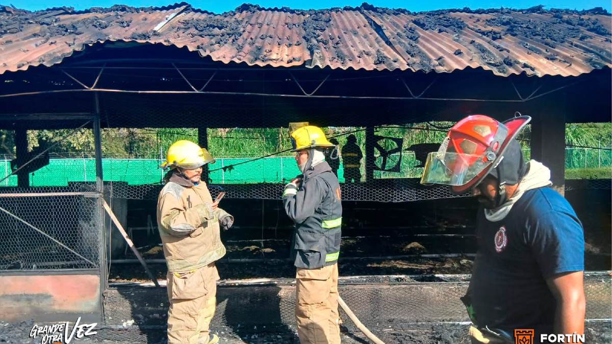 bomberos sofocan un incendio en una granja avícola