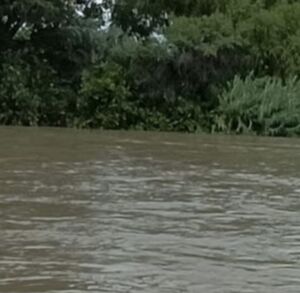 Río Nazas, lugar donde un menor de edad perdió la vida por meterse a nadar.