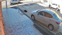 el conductor de un vehículo compacto le pasó por encima a un perro que dormía en la vía pública; hechos quedaron captados en video.