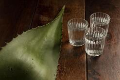 Hoja de agave y dos tragos de tequila sobre una mesa de madera