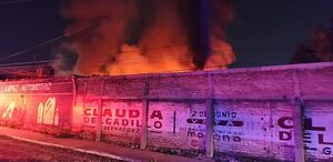 Un fuerte incendio consumió una fábrica de almohadas en La Ladrillera, Tlaquepaque. No hay heridos y lograron rescatar a Hachi, el perro guardián. Entérate.