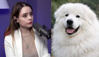 En entrevista telefónica para Telediario Matutino con Ángel Carrillo, la conocida grafóloga y figura pública advirtió sobre el perfil delictivo de la agresora