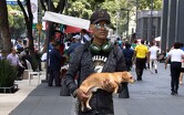 La mala calidad del aire puede afectar los pulmones en las personas y los animales | Cuartoscuro