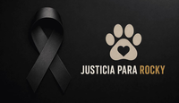 las personas de dicha asociación habían ido a la veterinaria en donde estaban asistiendo a Rocky, mencionando  que el perro no era de la misma raza