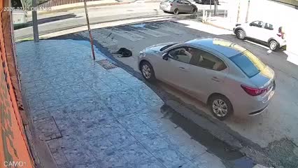 Un segundo perro que se encontraba cerca acudió desesperado al escuchar los ladridos de auxilio de su compañero.
