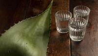 Hoja de agave y dos tragos de tequila sobre una mesa de madera