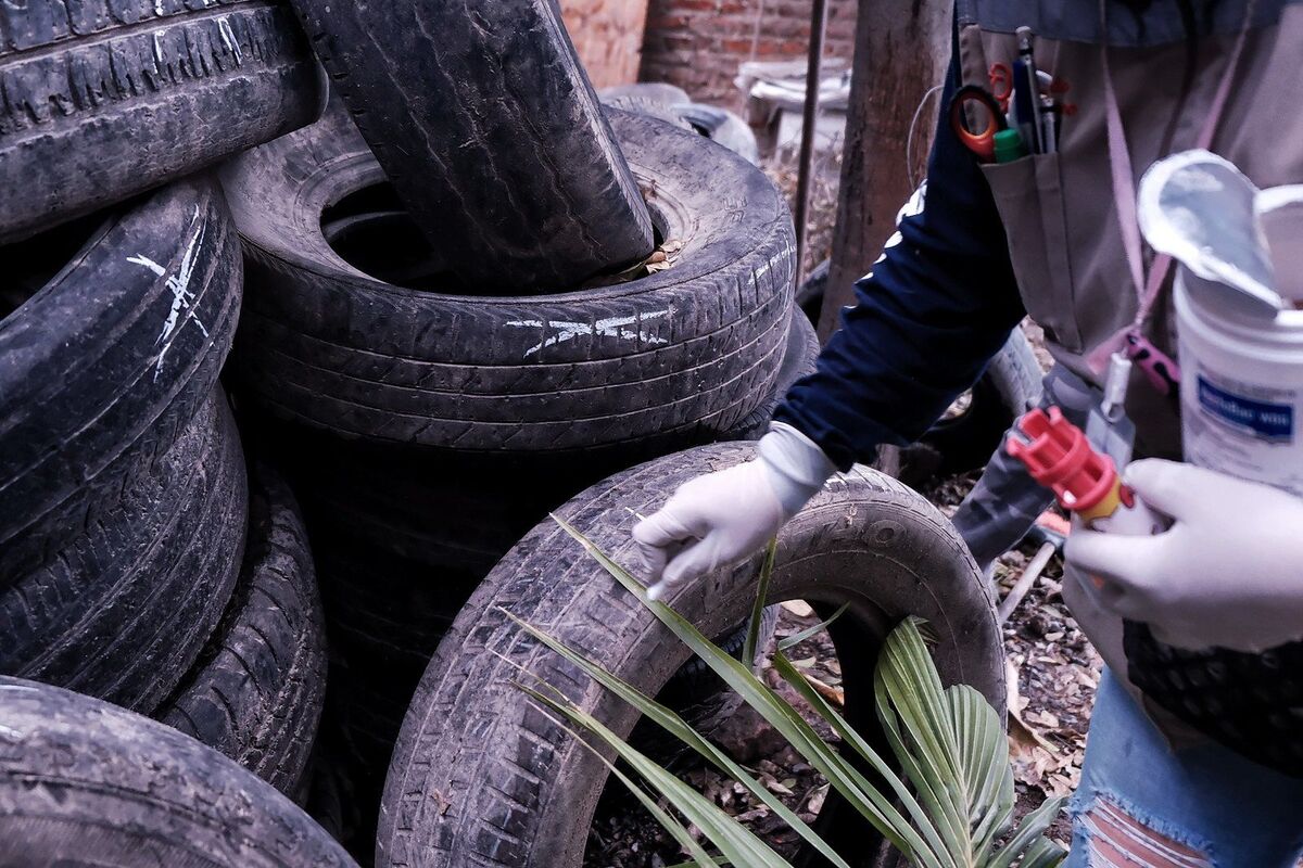 Una foto de las medidas de prevención para el dengue