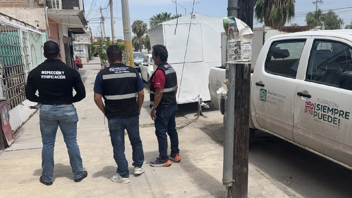 Personal de Inspección y Verificación
