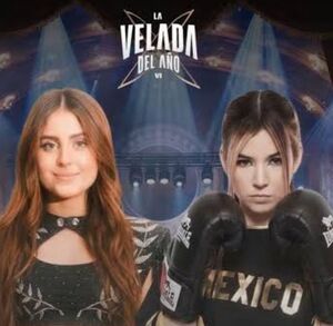 Este fue el resultado de la pelea en La Velada del Año Vi