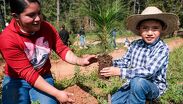 Se plantaron 40 mil árboles en la reforestación | Cortesía: Coordinación General del Territorio