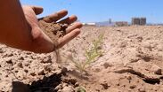 Productores de La Laguna denuncian una crisis por falta de subsidios y el desmantelamiento de programas federales de apoyo al campo.