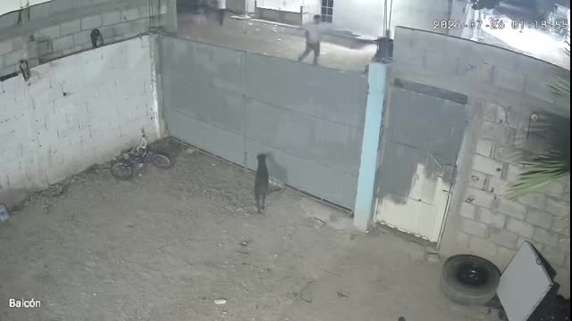 Vecinos que escucharon los desesperados gritos de auxilio acudieron de inmediato para intentar ayudarla.