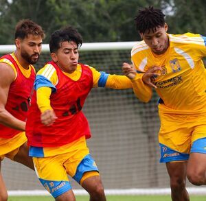 Jugadores de Tigres durante el entrenamiento.