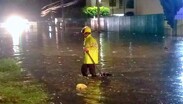 La mayor parte de las afectaciones correspondió a la caída de árboles y desbordamientos | Protección Civil y Bomberos de Guadalajara