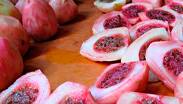 El nombre xoconostle proviene del náhuatl “xococ” que significa agrio y “nochtl” tuna | Secretaría de Agricultura y Desarrollo Rural