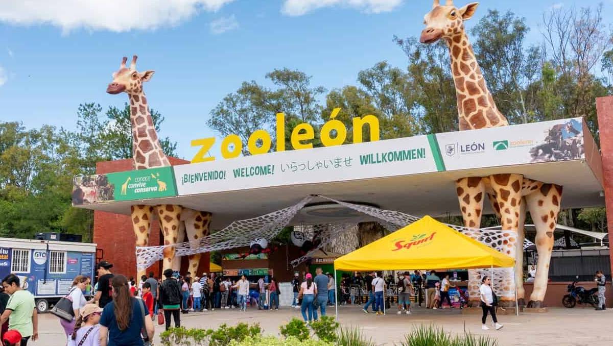 Tras varias irregularidades una asociación civil buscará el cierre del ZooLeón | Cortesía