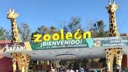 Tras varias irregularidades una asociación civil buscará el cierre del ZooLeón | Cortesía