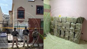 Cateo de la Fiscalía y el Ejército deja casi 370 kilos de marihuana asegurados y una pareja detenida en la colonia Valle de San Andrés.