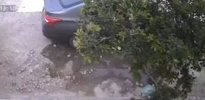 Camino de terracería en Tonalá