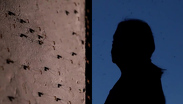 "Ya no soportamos los mosquitos" Tenemos que quedarnos encerrados, revela afectado en Edomex