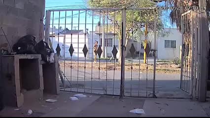 La mujer, que al parecer cayó en las adicciones, presenta conductas violentas y agresivas con los colonos de la colonia Joyas del Desierto.