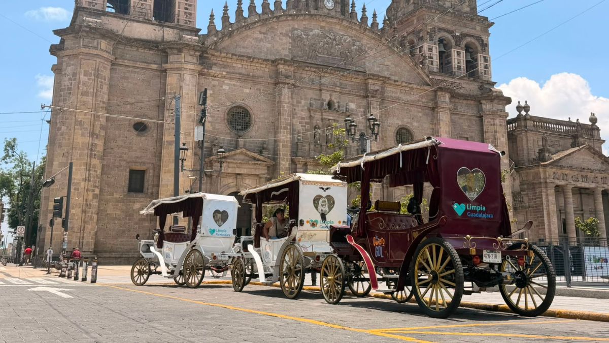 Varias calandrias paradas en el centro de Guadalajara