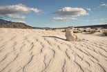 Dunas de Yeso en Cuatrociénegas