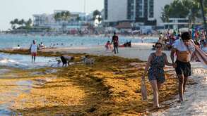 México invertirá millones de dólares para limpiar sargazo en el Caribe mexicano | AP