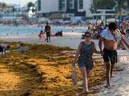 México invertirá millones de dólares para limpiar sargazo en el Caribe mexicano | AP