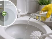 Aplica vinagre con el cepillo y espera 30 minutos: su ácido acético ablanda la cal típica del agua dura de forma eficaz y sin químicos agresivos. (IA)
