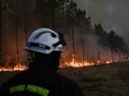 Las autoridades han realizado numerosos arrestos vinculados a negligencias e incendios provocados, mientras naciones vecinas envían refuerzos.