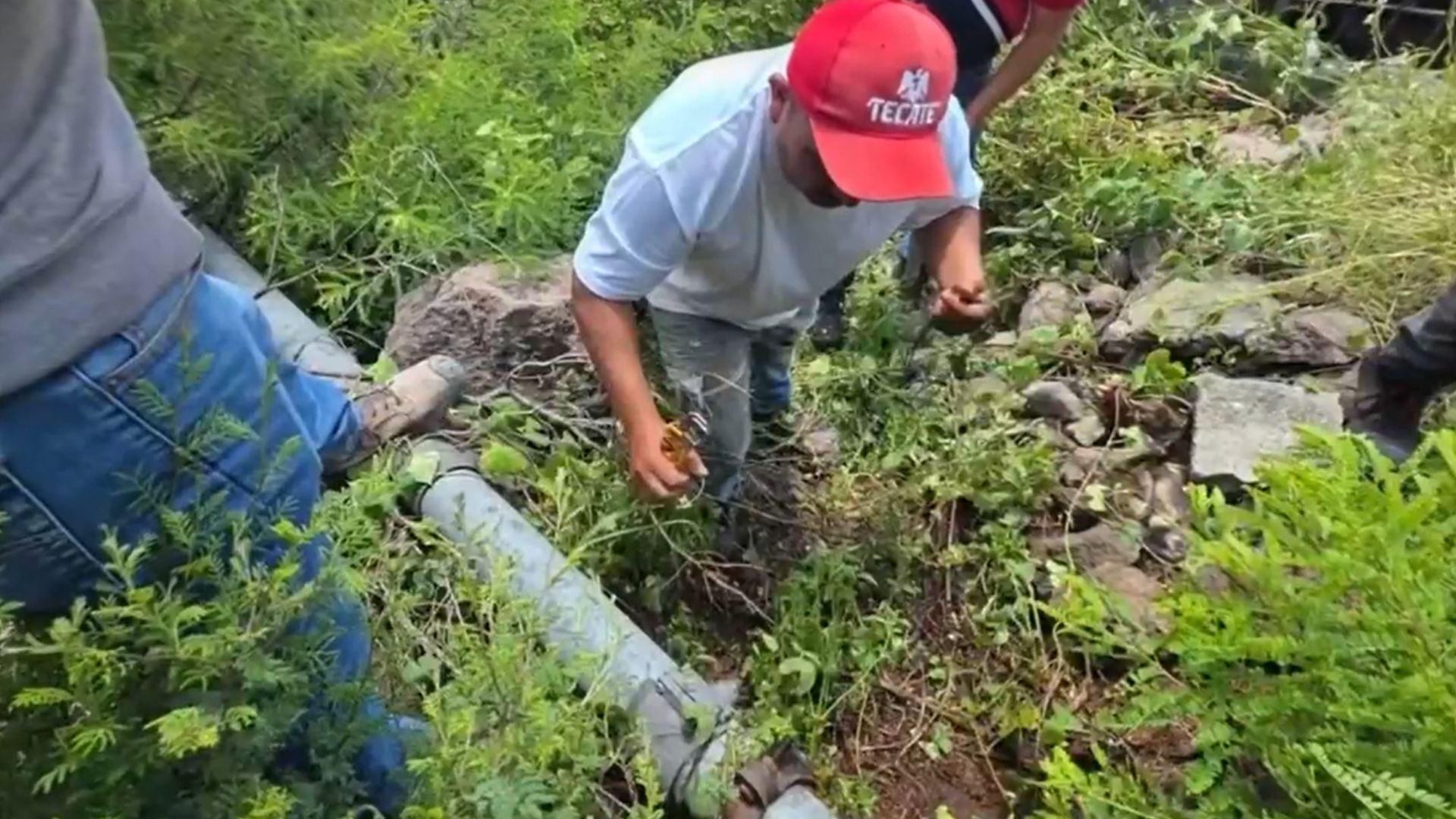 Desmantelan red de aguachicoleros en Ecatepec que vendía agua robada hasta en 80 pesos