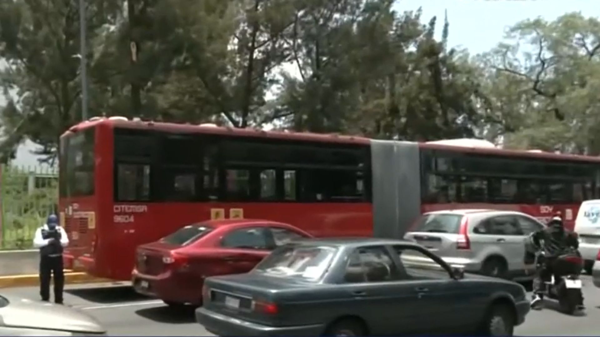 Rama cae sobre metrobús en CdMx y bloquea circulación de decenas de autobuses