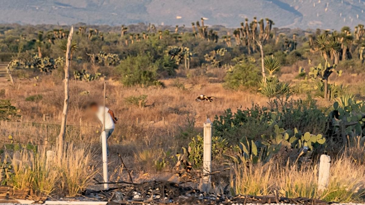 El transportista presentaba lesiones visibles | Cortesía Carolina Espinosa Rivera