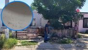 Los habitantes advierten sobre el riesgo de picaduras y el peligro latente de contraer enfermedades graves como la rickettsiosis.