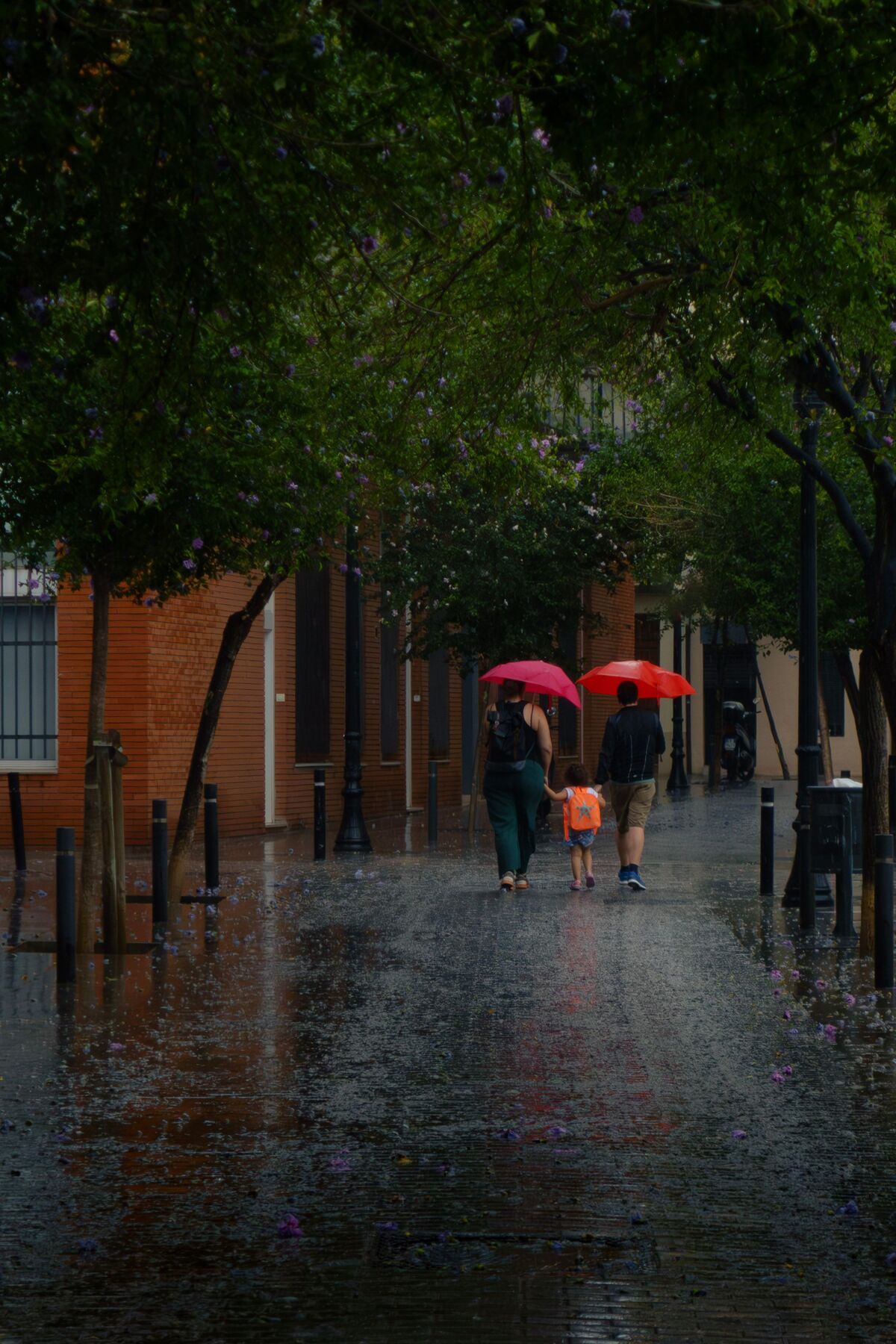 Los habitantes de Saltillo deben de resguardarse tras los diversos reportes del clima en la ciudad.