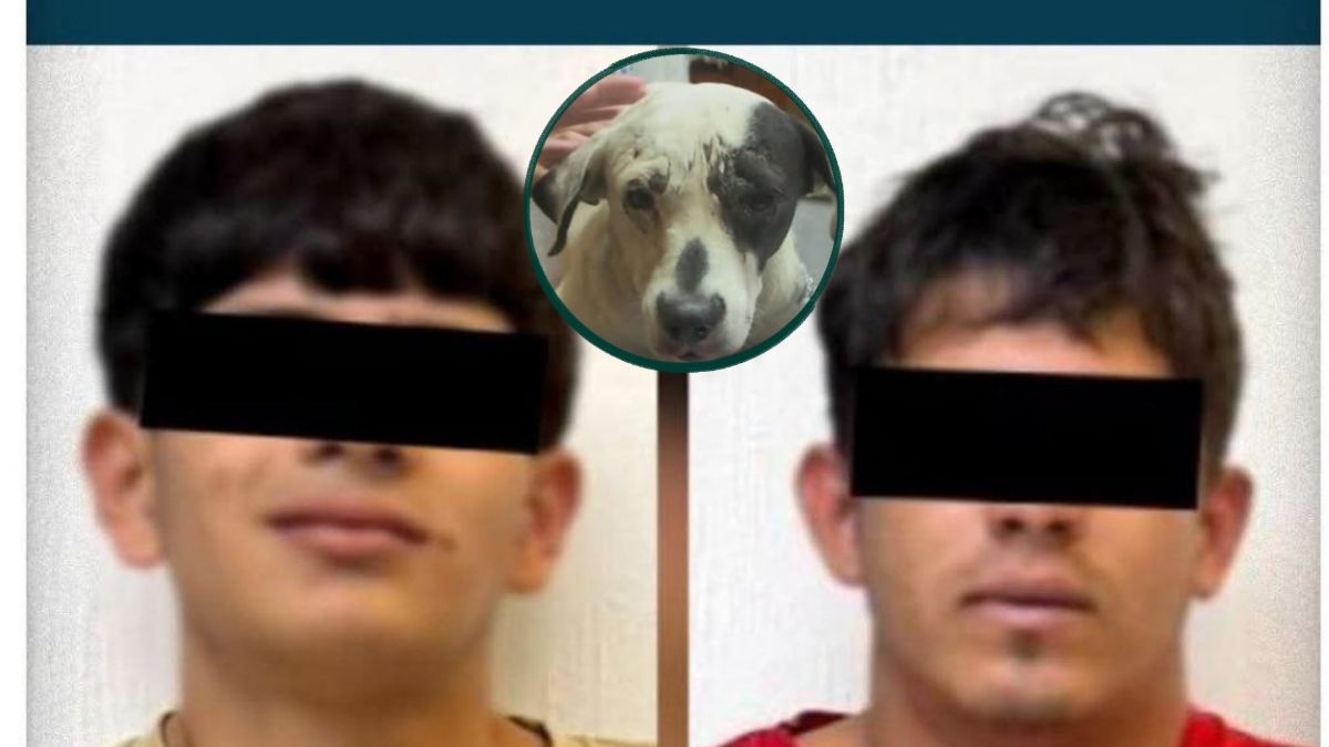 La audiencia para conocer si son vinculados a proceso está programada para el 04 de agosto