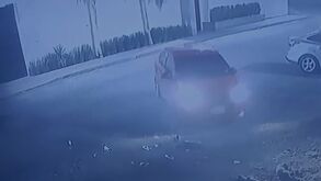 Oso descansaba al exterior de un domicilio cuando un vehículo tipo sedán le pasó por encima.